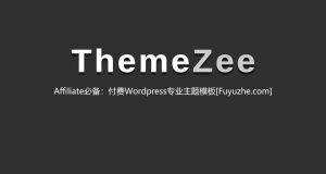 价值150$的Affiliate专业wordpress付费主题