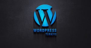 教你如何使用Wordpress建立一个有利可图的网站