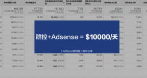 第60期：把国内的群控模式搬到国外1天1万美金项目分享