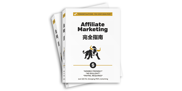 《Affiliate Marketing 完全指南》完整精校中文版